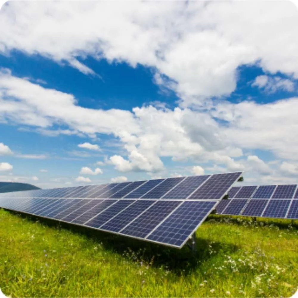 Tarım ve Güneş Enerjisinin Buluşması: Filtre Teknolojisi ile Çift Yönlü Verimlilik
